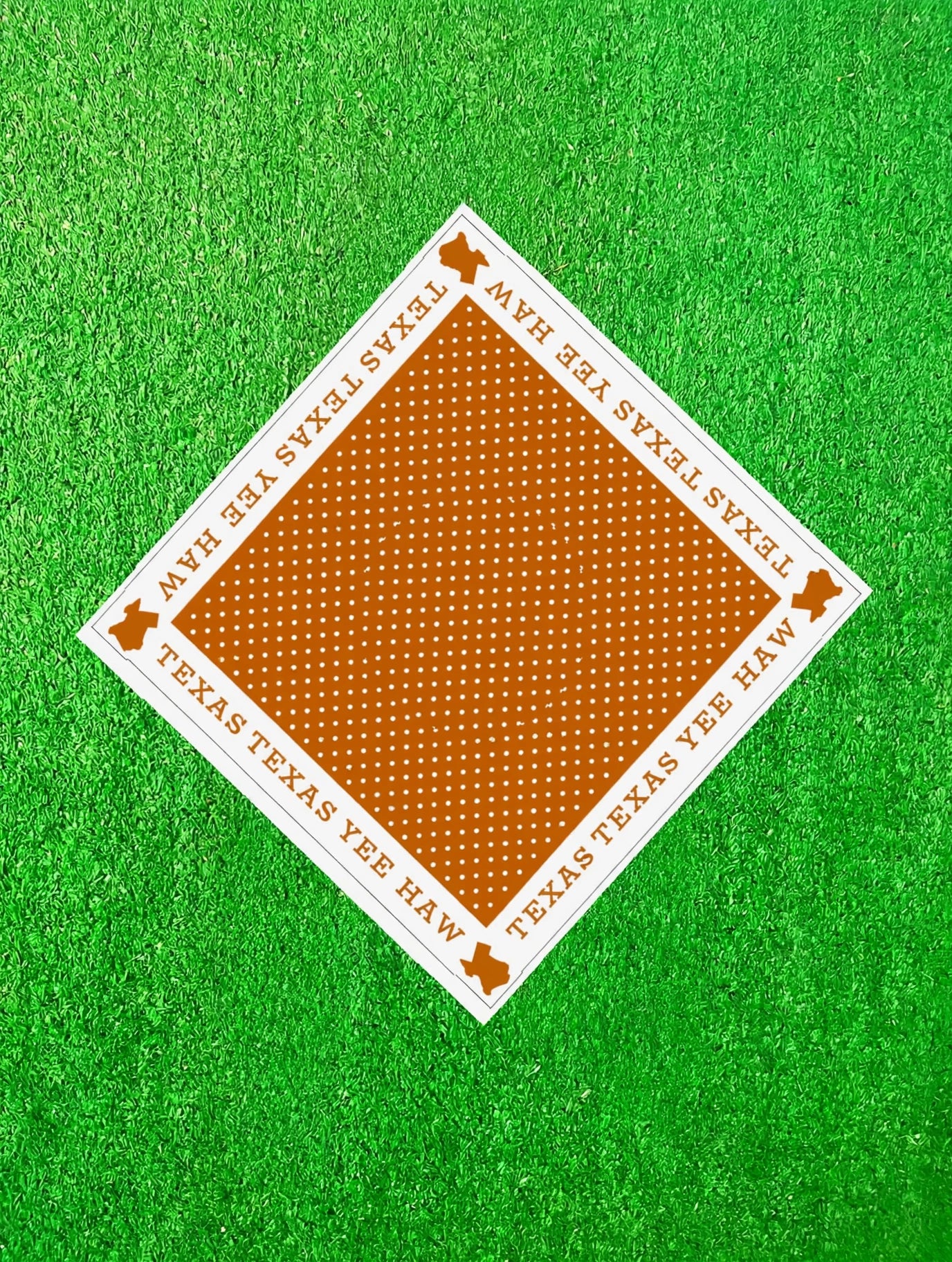 SUSANNAH GAMEDAY BANDANNA